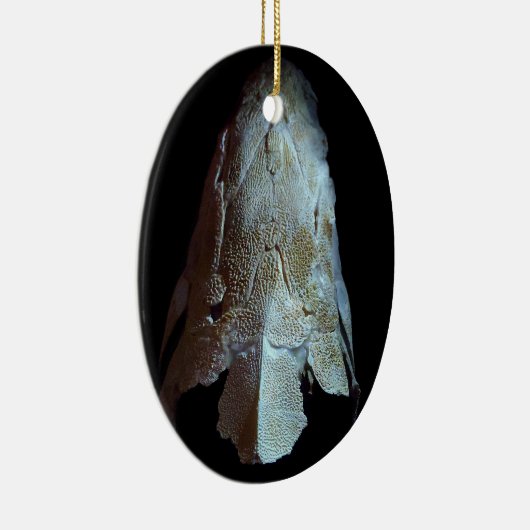 >XMAS ORNAMENT -STURGEON FISH-SKULL/HEAD (Rechts)