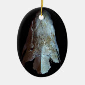 >XMAS ORNAMENT -STURGEON FISH-SKULL/HEAD (Voorkant)