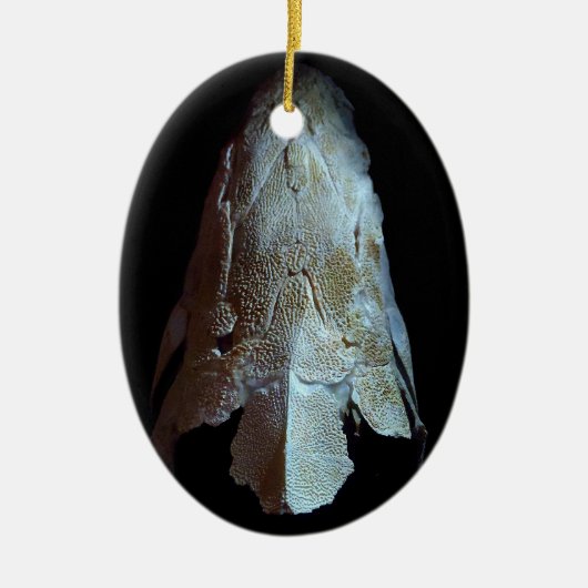 >XMAS ORNAMENT -STURGEON FISH-SKULL/HEAD (Voorkant)