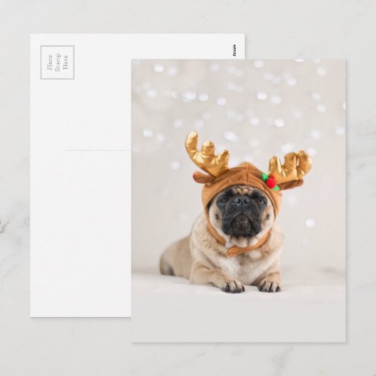 XMas-plug Feestdagenkaart (Voorkant / Achterkant)