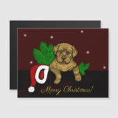 XMas Puppy (Voorkant / Achterkant)
