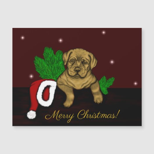XMas Puppy (Voorkant)
