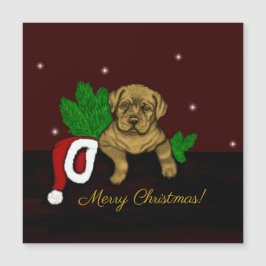 XMas Puppy