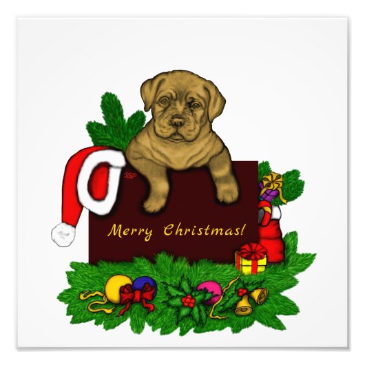 XMas Puppy Foto Afdruk (Voorkant)