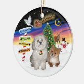 Xmas Signs - Havanees & Pommerse Keramisch Ornament (Links)