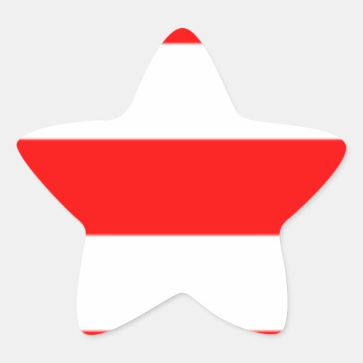 Xmas Ster Sticker (Voorkant)