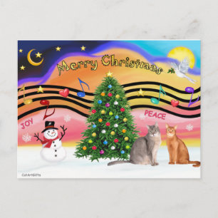 Xmas Sunrise 2 - Twee Abyssiniaanse katten Feestdagenkaart
