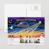 Xmas Sunrise - 5 Siamese katten Feestdagenkaart (Voorkant / Achterkant)