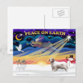 Xmas Sunrise - Clumber Spaniel Feestdagenkaart (Voorkant / Achterkant)