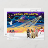 Xmas Sunrise - Drie Italiaanse spinones Feestdagenkaart (Voorkant / Achterkant)