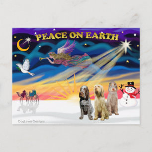 Xmas Sunrise - Drie Italiaanse spinones Feestdagenkaart