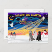 Xmas Sunrise - Drie standaard poedels Feestdagenkaart (Voorkant / Achterkant)