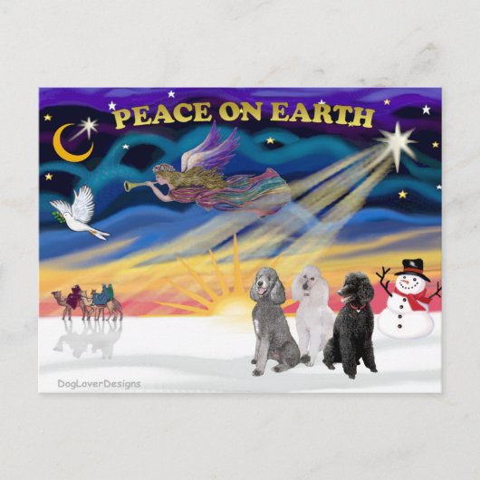 Xmas Sunrise - Drie standaard poedels Feestdagenkaart (Voorkant)