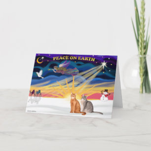 Xmas Sunrise - Twee Abyssiniaanse katten Feestdagen Kaart