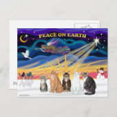 Xmas Sunrise - Vijf katten (AmSH) Feestdagenkaart (Voorkant / Achterkant)