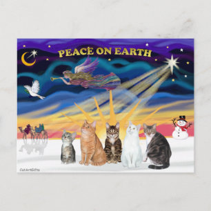 Xmas Sunrise - Vijf katten (AmSH) Feestdagenkaart