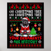Xmas Tree Ornamenten zijn geschiedenis sweater San Poster (Voorkant)