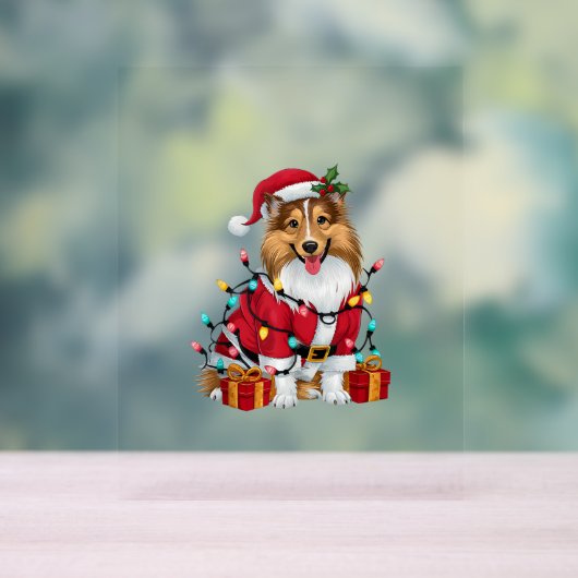 Xmas Verlichting Santa Sheltie Hond Kerstmis _1 Acryl Bord (Neutraal)