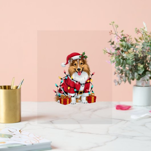 Xmas Verlichting Santa Sheltie Hond Kerstmis _1 Acryl Bord (Huwelijk)