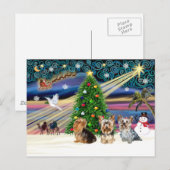 XmasMagic Yorkie Trio Feestdagenkaart (Voorkant / Achterkant)