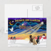 XmasSunrise-3 Labrador Retrievers Feestdagenkaart (Voorkant / Achterkant)