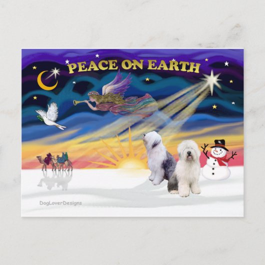 XmasSunrise-Two-Old English Sheepdog Feestdagenkaart (Voorkant)