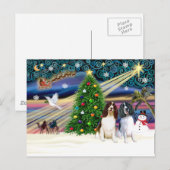 Xms Magic-2EngSpringer LivWht+Blk Briefkaart (Voorkant / Achterkant)