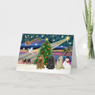 Xms Magic-3Cockers-blk-brwn Feestdagen Kaart