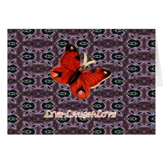 XNP008-251 (Voorkant Horizontaal)