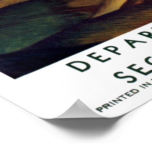  Xochimilco Mexico Travel Poster (Hoek)