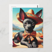 Xoloitzcuintle Briefkaart (Voorkant / Achterkant)