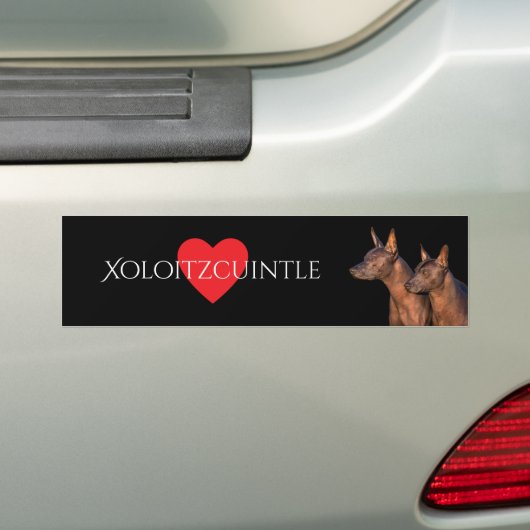 Xoloitzcuintle Bumpersticker (Op auto)