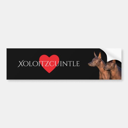 Xoloitzcuintle Bumpersticker (Voorkant)