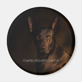 Xoloitzcuintle gecoate magneet