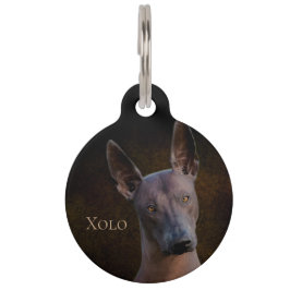 Xoloitzcuintle Huisdierpenning