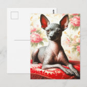 Xoloitzcuintle Illustratie Briefkaart (Voorkant / Achterkant)