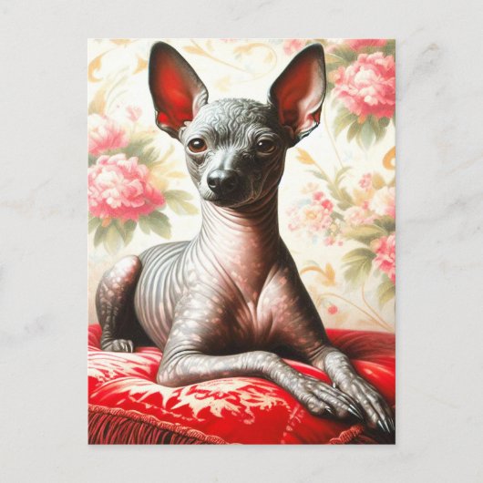 Xoloitzcuintle Illustratie Briefkaart (Voorkant)