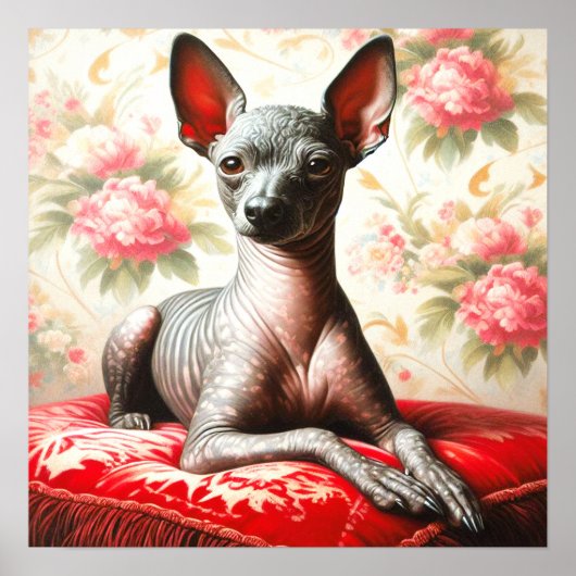  Xoloitzcuintle Illustratie Poster (Voorkant)