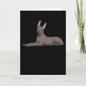 Xoloitzcuintle Kaart (Voorkant)