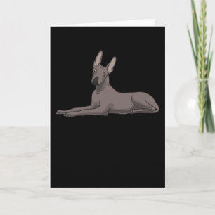 Xoloitzcuintle Kaart