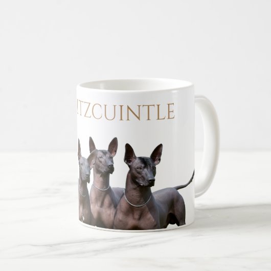 Xoloitzcuintle Mok (Voorkant rechts)