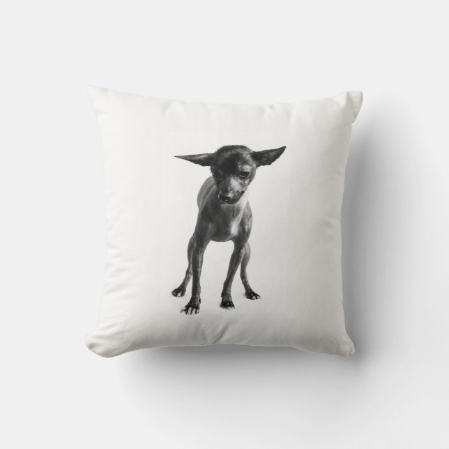 Xoloitzcuintle Pillow Kussen (Voorkant)