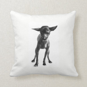 Xoloitzcuintle Pillow Kussen