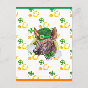 Xoloitzcuintle Shamrock St. Patricks Day Feestdagenkaart