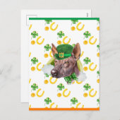 Xoloitzcuintle Shamrock St. Patricks Day Feestdagenkaart (Voorkant / Achterkant)