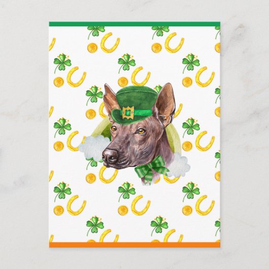 Xoloitzcuintle Shamrock St. Patricks Day Feestdagenkaart (Voorkant)