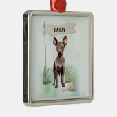 Xoloitzcuintli Aquarel Gepersonaliseerde Hond Metalen Ornament (Rechts)