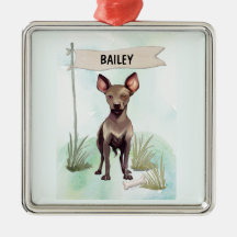 Xoloitzcuintli Aquarel Gepersonaliseerde Hond