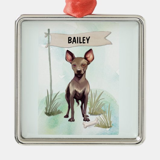 Xoloitzcuintli Aquarel Gepersonaliseerde Hond Metalen Ornament (Voorkant)