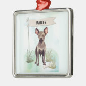 Xoloitzcuintli Aquarel Gepersonaliseerde Hond Metalen Ornament (Links)